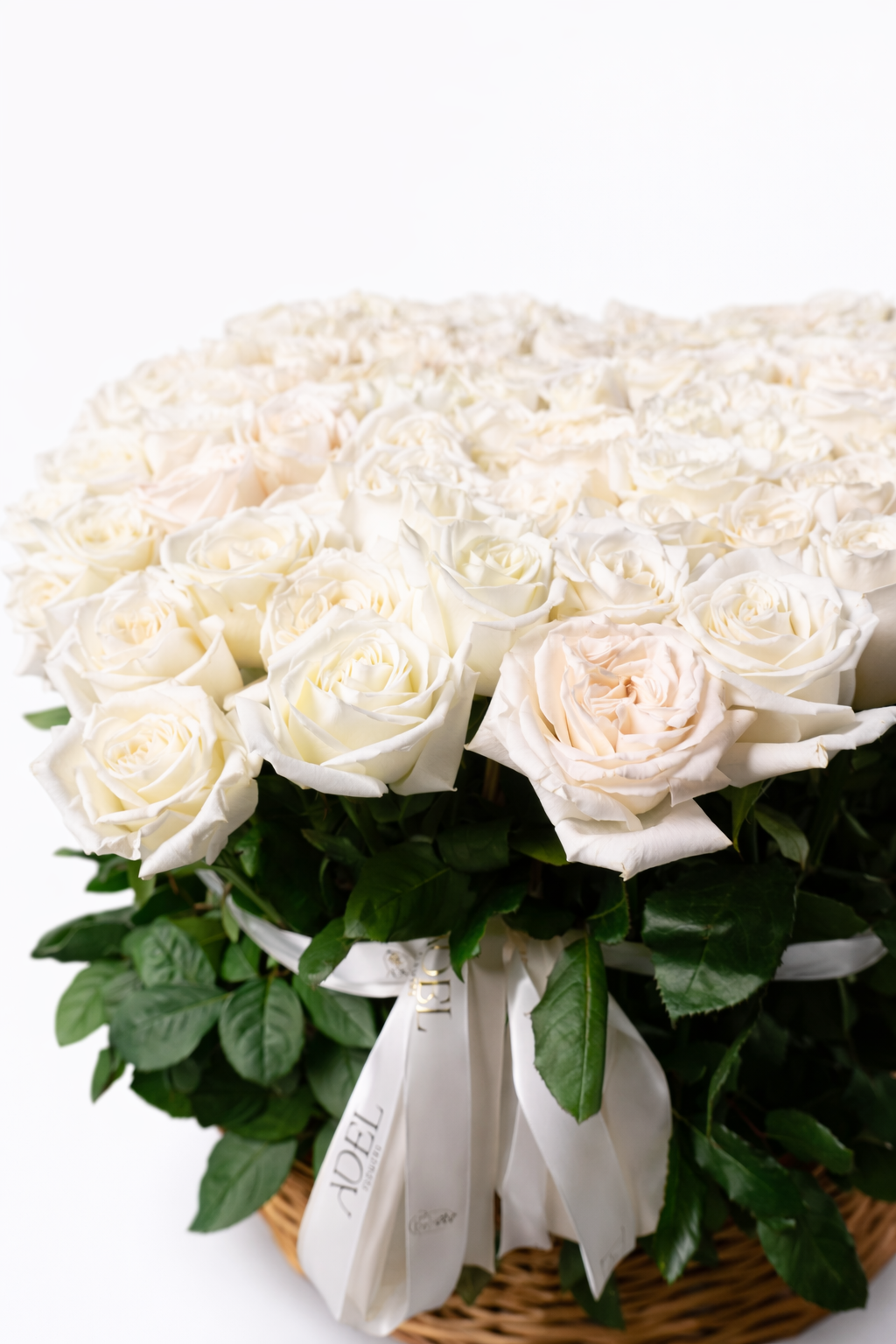 Timeless White Elegance — photo 2