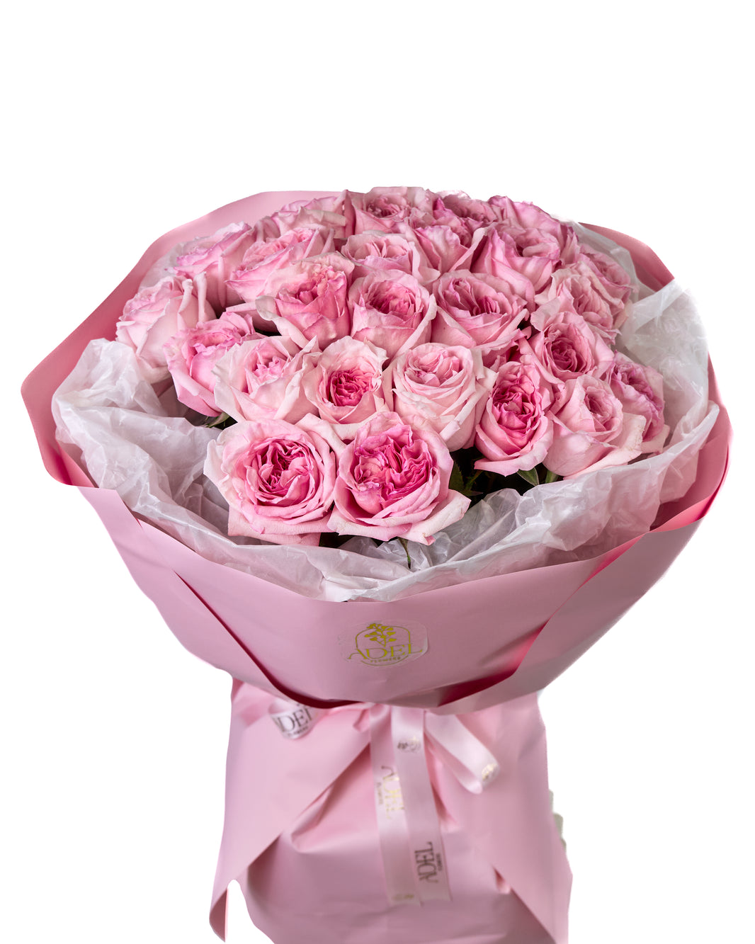 Day dream in Pink
