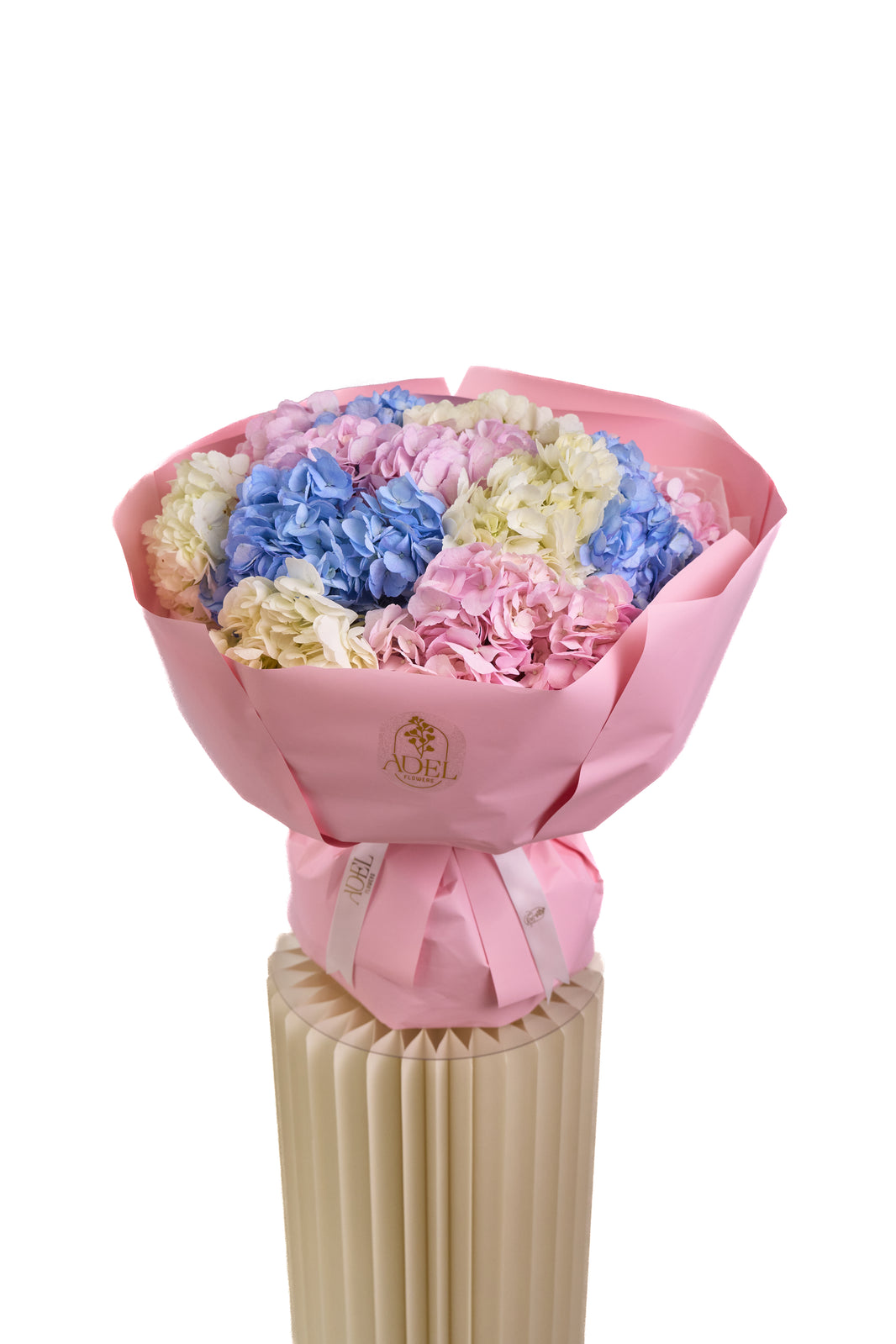 Hydrangea Harmony